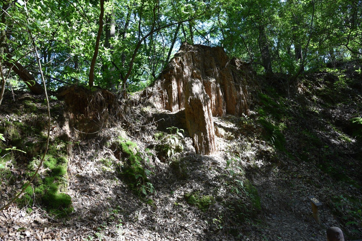 dsc_3782_fs.jpg
