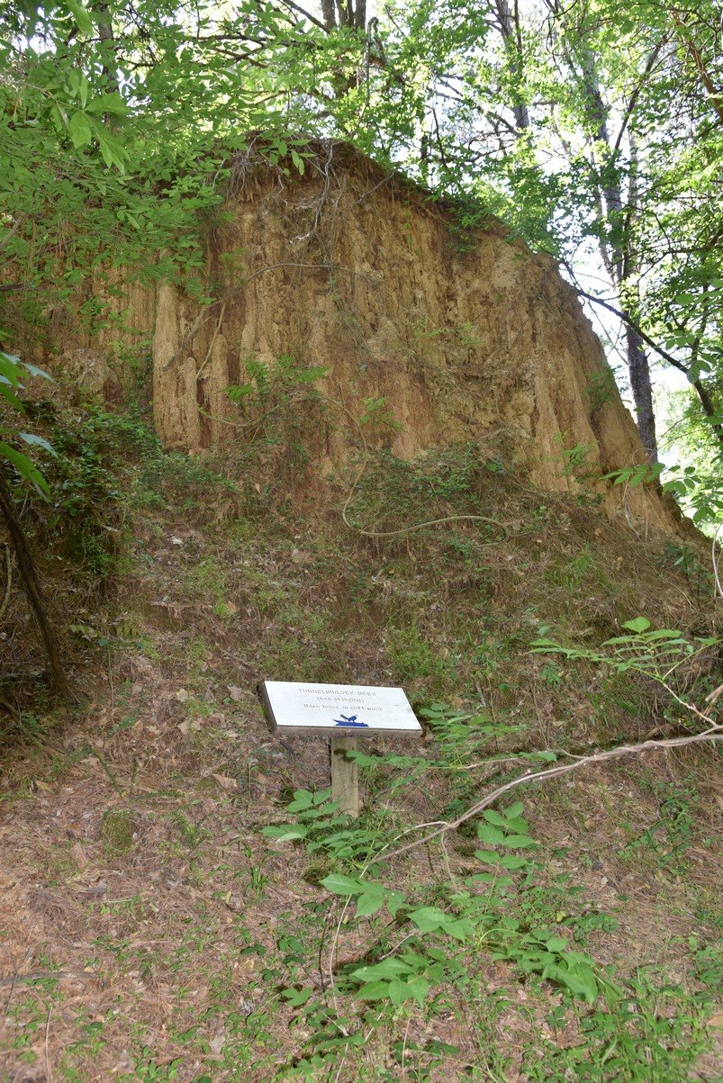 dsc_3784_fs.jpg