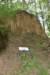 dsc_3784_fs_small.jpg