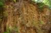 dsc_3786_fs_small.jpg