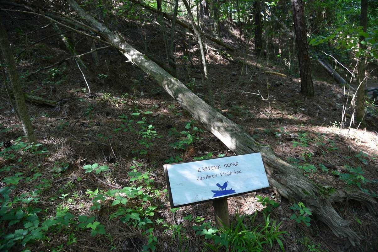 dsc_3789_fs.jpg