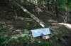 dsc_3789_fs_small.jpg