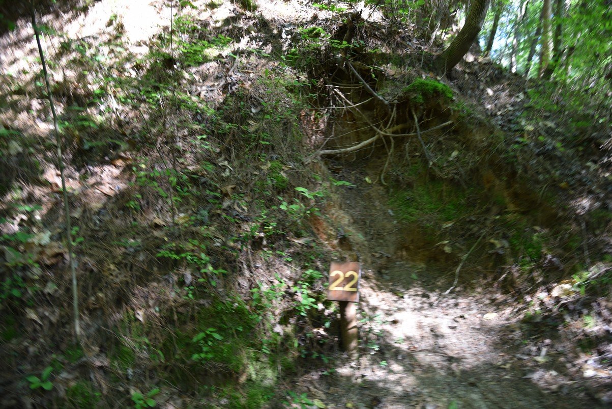 dsc_3795_fs.jpg