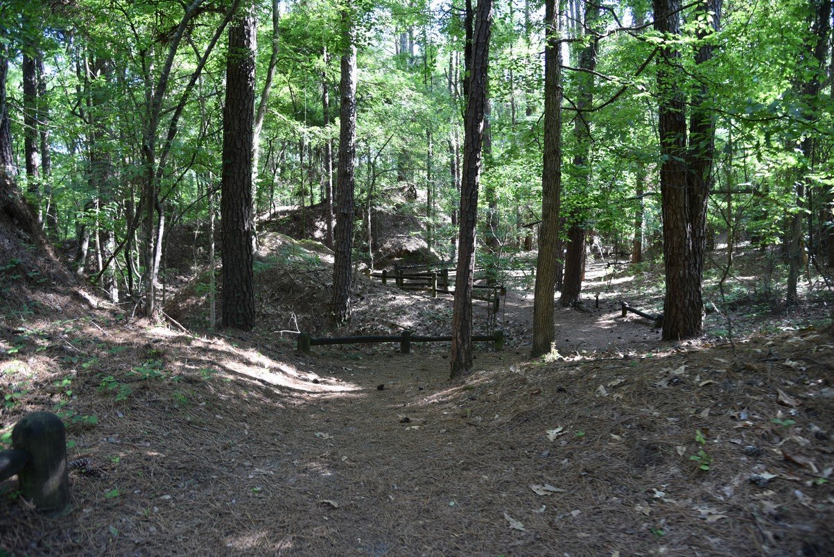 dsc_3796_fs.jpg