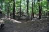 dsc_3796_fs_small.jpg