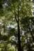 dsc_3801_fs_small.jpg