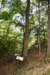 dsc_3802_fs_small.jpg