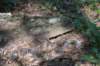 dsc_3809_fs_small.jpg