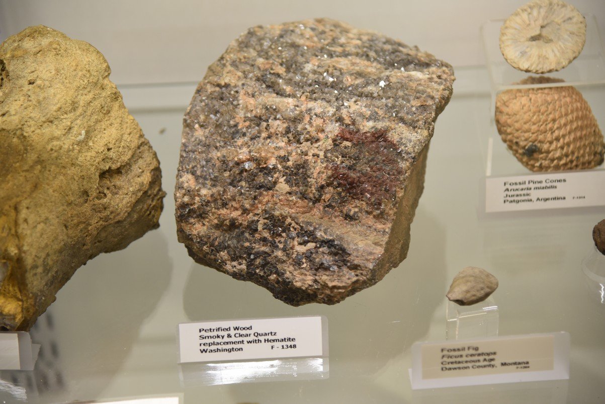 dsc_3814_fs.jpg
