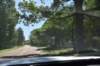 raymonddsc_3692_fs_small.jpg
