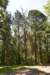 dsc_3670_fs_small.jpg