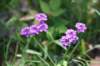 dsc_3672_fs_small.jpg