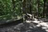 dsc_3674_fs_small.jpg