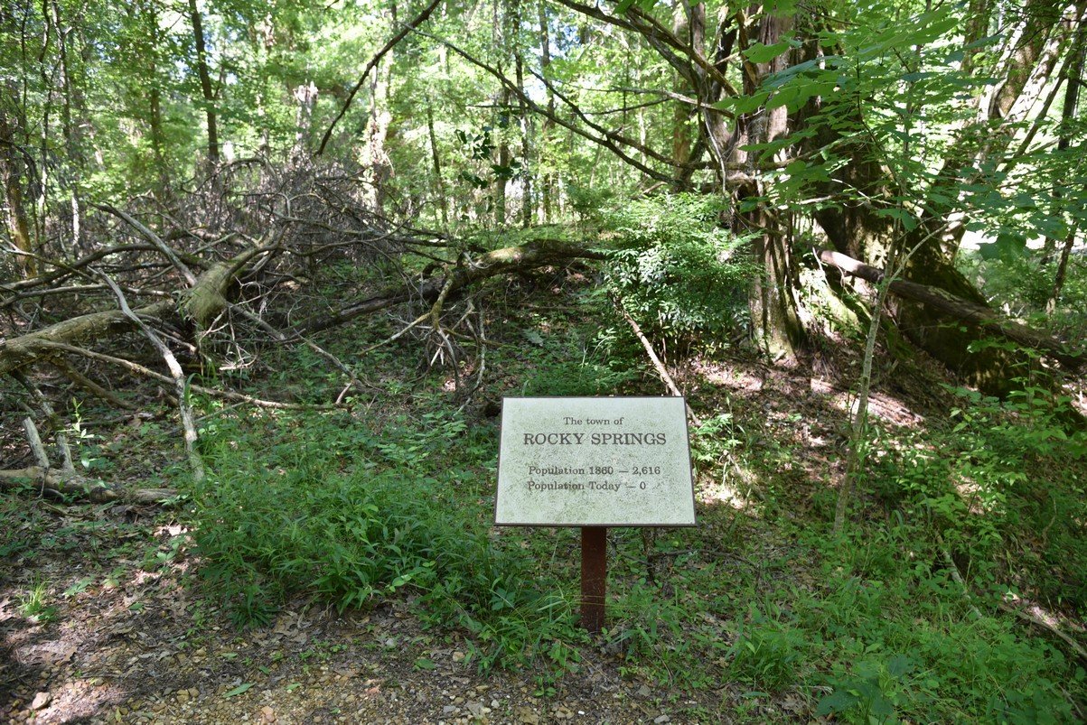 dsc_3677_fs.jpg