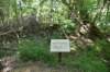 dsc_3677_fs_small.jpg