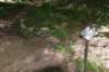 dsc_3680_fs_small.jpg