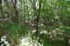 dsc_3682_fs_small.jpg