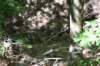 dsc_3684_fs_small.jpg