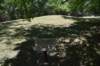 dsc_4047_fs_small.jpg