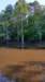 _174524_fs_small.jpg