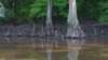 _174541_fs_small.jpg