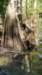 _174844_fs_small.jpg