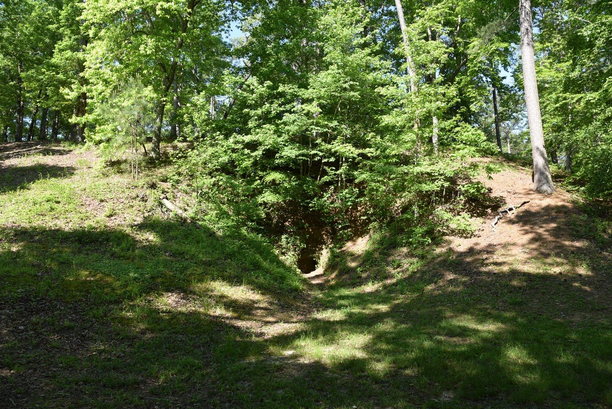 dsc_4181_fs.jpg
