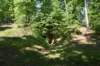 dsc_4181_fs_small.jpg