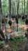 dsc_4183_fsb_small.jpg