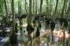 dsc_4186_fs_small.jpg