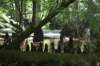 dsc_4187_fs_small.jpg