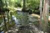 dsc_4188_fs_small.jpg