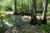 dsc_4189_fs_small.jpg
