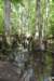 dsc_4191_fs_small.jpg