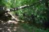 dsc_4192_fs_small.jpg