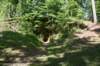 dsc_4193_fs_small.jpg