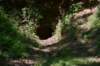 dsc_4194_fs_small.jpg