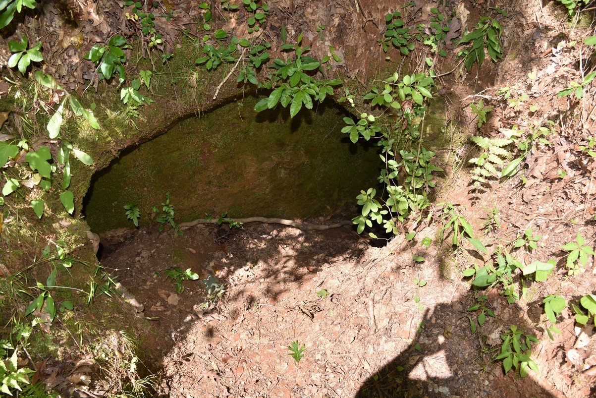 dsc_4196_fs.jpg