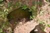 dsc_4196_fs_small.jpg