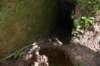 dsc_4197_fs_small.jpg