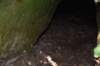 dsc_4198_fs_small.jpg