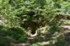 dsc_4200_fs_small.jpg