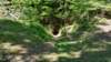 dsc_4200_fsc_small.jpg