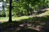 dsc_4202_fs_small.jpg