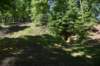 dsc_4205_fs_small.jpg
