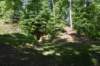 dsc_4206_fs_small.jpg