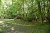dsc_4209_fs_small.jpg