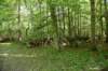 dsc_4210_fs_small.jpg