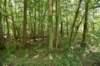 dsc_4213_fs_small.jpg