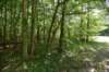 dsc_4214_fs_small.jpg